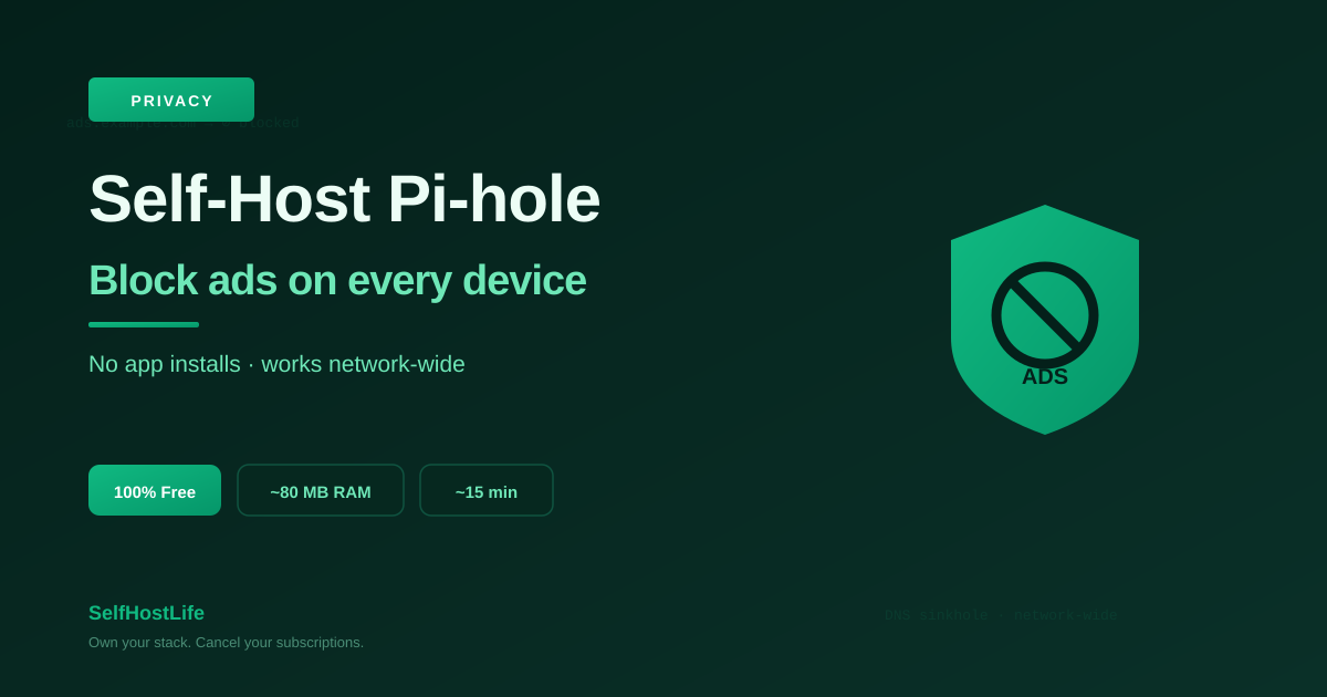 Pi-hole self-hosting 2026 — network-wide DNS ad blocking