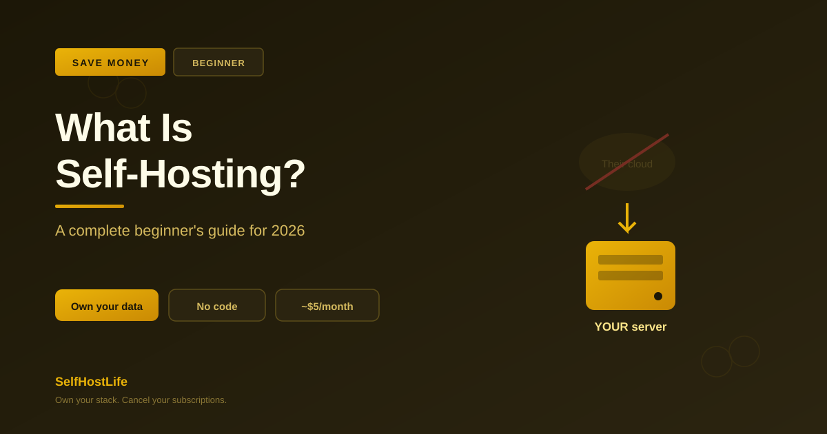 What is self-hosting — a complete beginner's guide for 2026